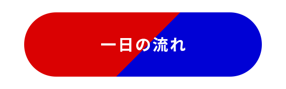 一日の流れ