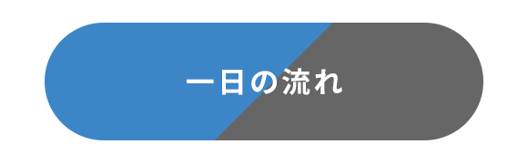 一日の流れ